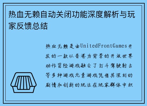 热血无赖自动关闭功能深度解析与玩家反馈总结